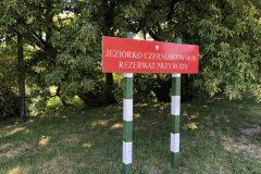 Sałaty z jednej chaty - Warszawa - Jeziorko Czerniakowskie